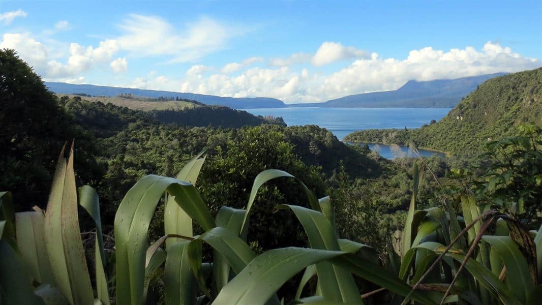 lake tarawera hero - Top Day Hikes in Rotorua