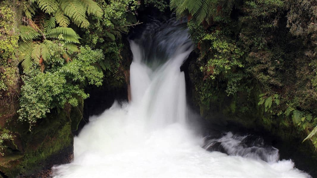 okere falls track hero - Top Day Hikes in Rotorua