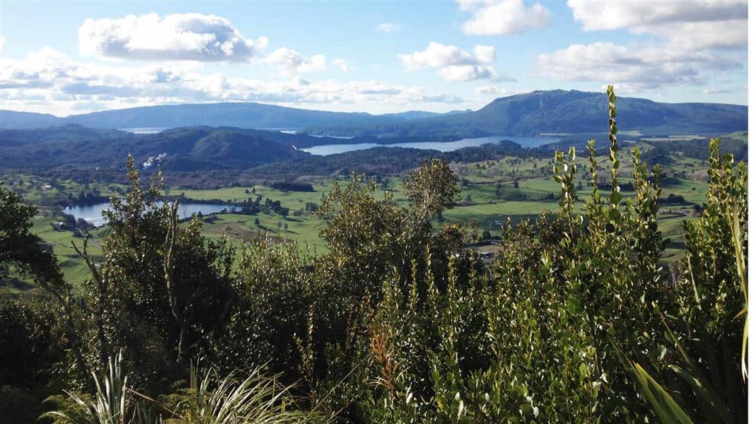 rainbow mountain summit track hero - Top Day Hikes in Rotorua