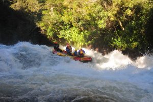 Rangitaiki River Geoffs Joy 1