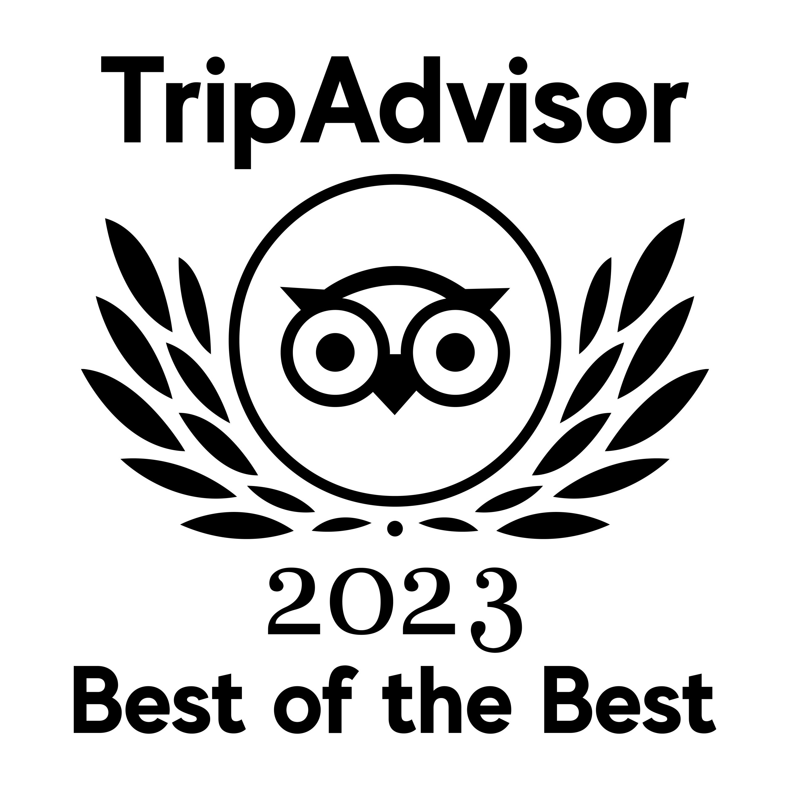 Trip advisor solid 2023