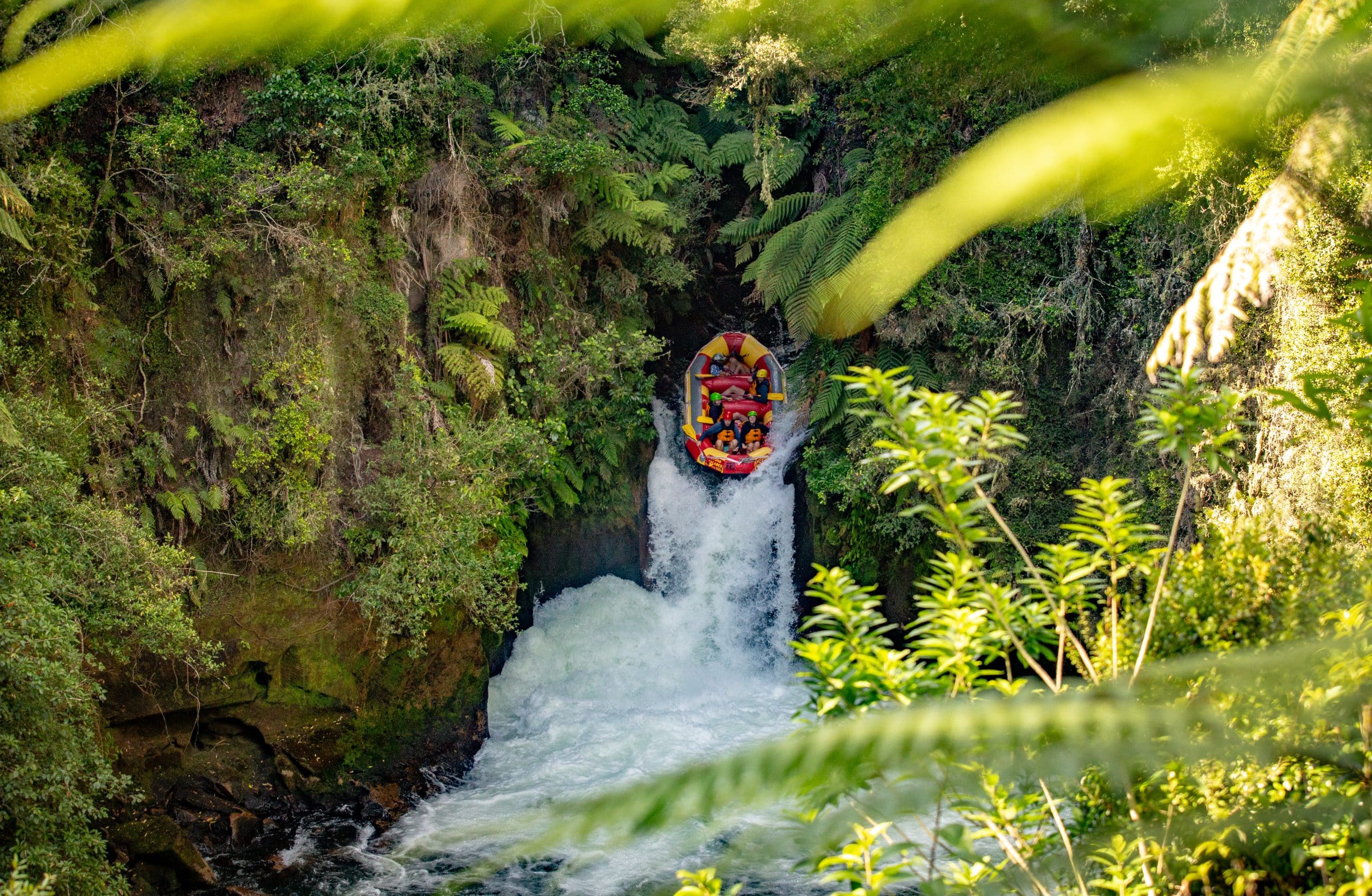 Rafters in a yellow raft paddling calmly down a green river under sunlight.