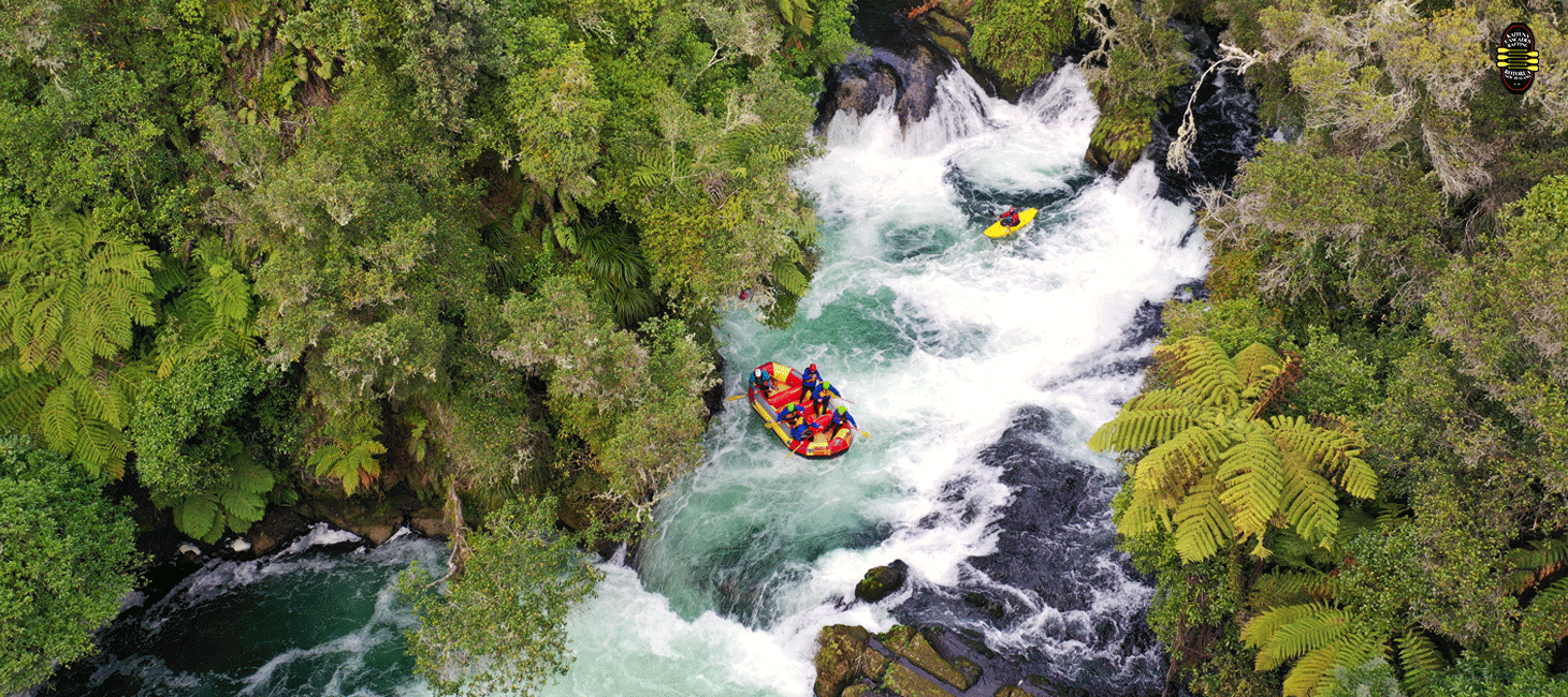 Rafting through Kaituna Cascades surrounded by lush forest